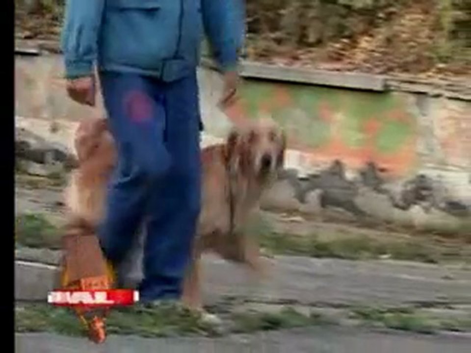 Mix Actual 11 Octombrie 2011