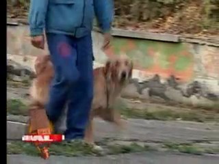 Mix Actual 11 Octombrie 2011