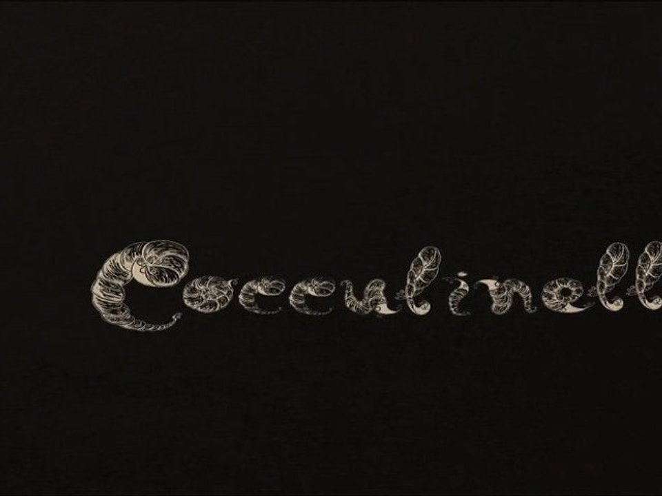 Making of (3) de Cocculinellidae