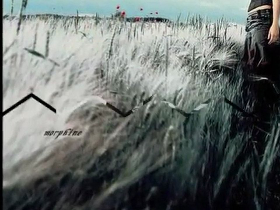 Orhan Gencebay - Hayat Kavgasi