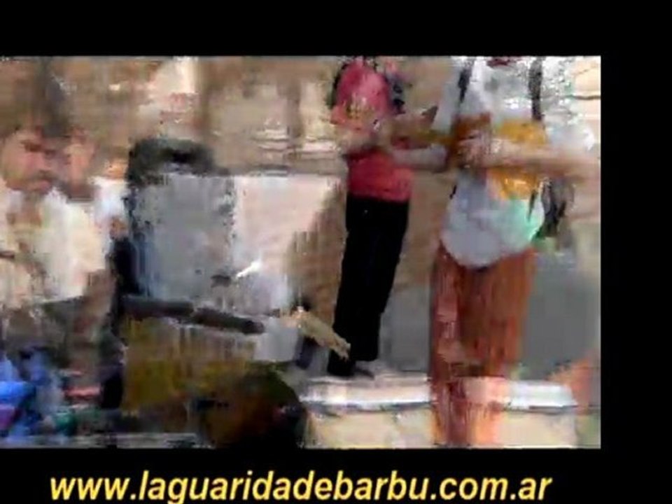 El Gorila que sabe escribir.