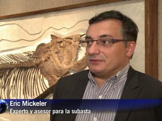 Vai um bichinho de estimação aí?