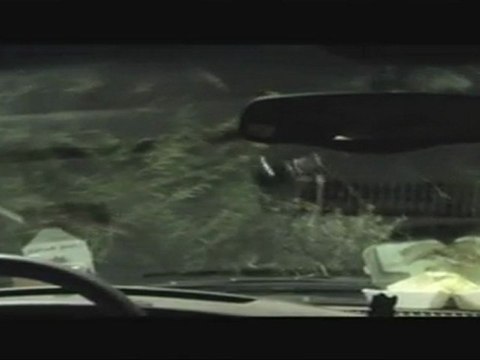 Bande Annonce - GRIZZLY - Disponible en DVD et BLU RAY