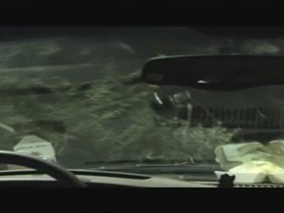 Bande Annonce - GRIZZLY - Disponible en DVD et BLU RAY