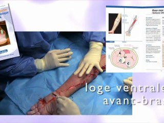 Formation de dissection anatomique
