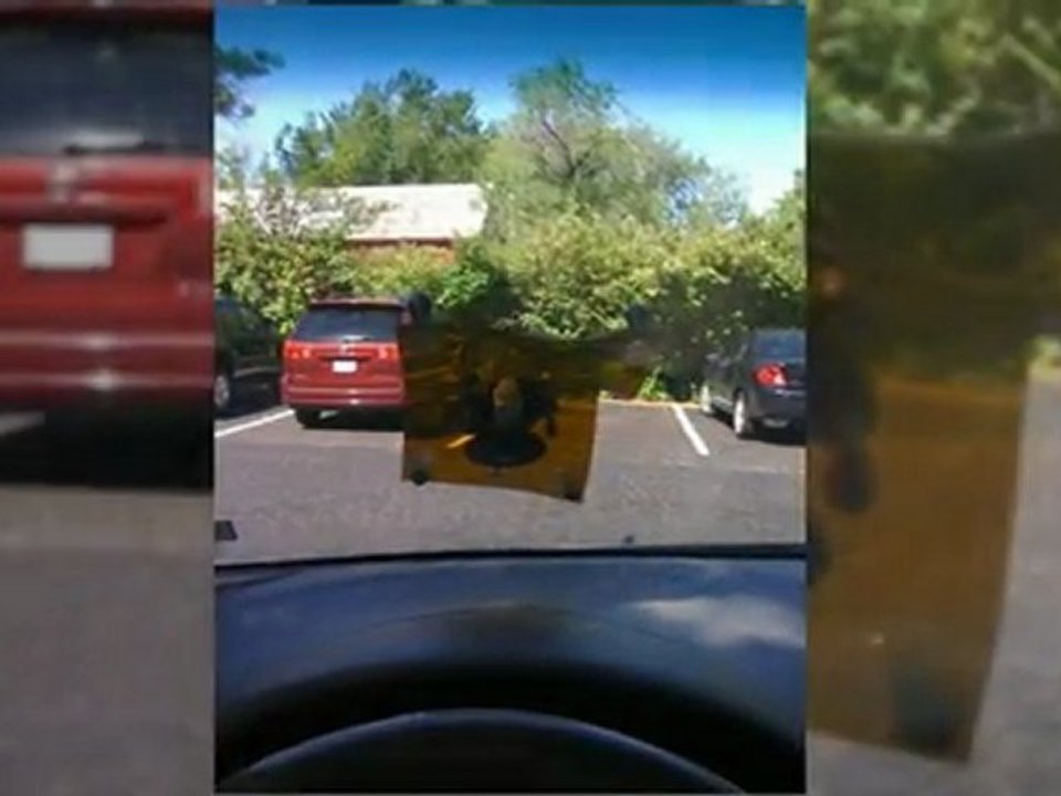 30133  windshield installation cost