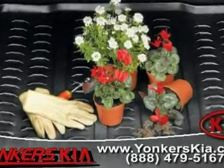 Kia Rio5 NY from Yonkers Kia