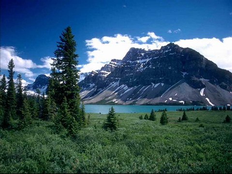 kürtçe aşk şarkısı harika klipler @ MEHMET ALİ ARSLAN Videos