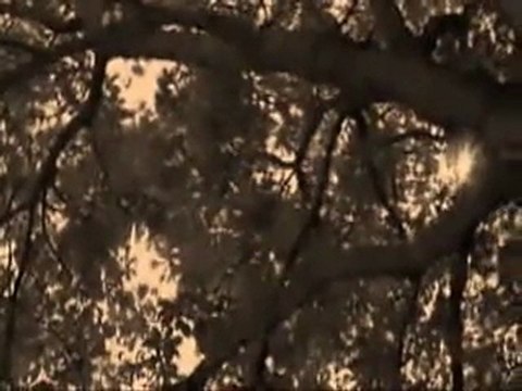 KAHRAMAN TAZEOĞLU - BEN SANA HAYAT DEDİM..