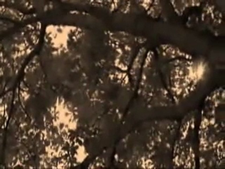 KAHRAMAN TAZEOĞLU - BEN SANA HAYAT DEDİM..