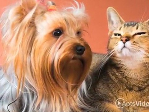 The Reserve at Shelley Lake Apartments in Spokane ...