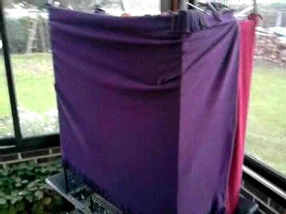 takeo (amazone FB) joue à cache cache derrière ses couvertures