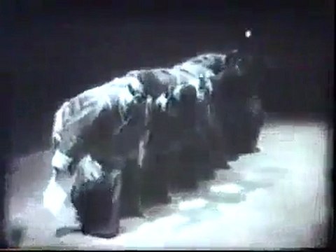 1960'lı Yıllarda Efsane Bitlis Halk Oyunları - Bitlis News