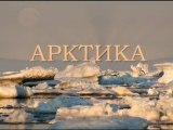 Арктика. Дикая природа России / Arctic. Wild Russia