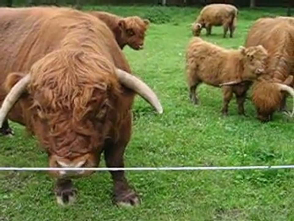 RENCONTRE INATTENDUE - ALSACE .