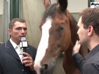 Adib El Sarakby - Equipe de France Para-Equestre - www.bloghandicap.com - La Web TV du Handicap