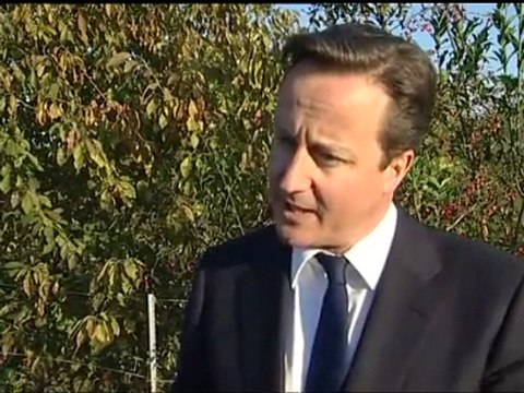 David Cameron 'sorry to see Liam Fox resign'