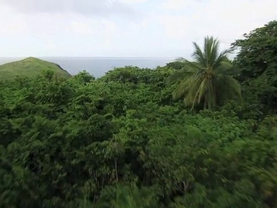 Robinsonekspedisjonen - bøddelen