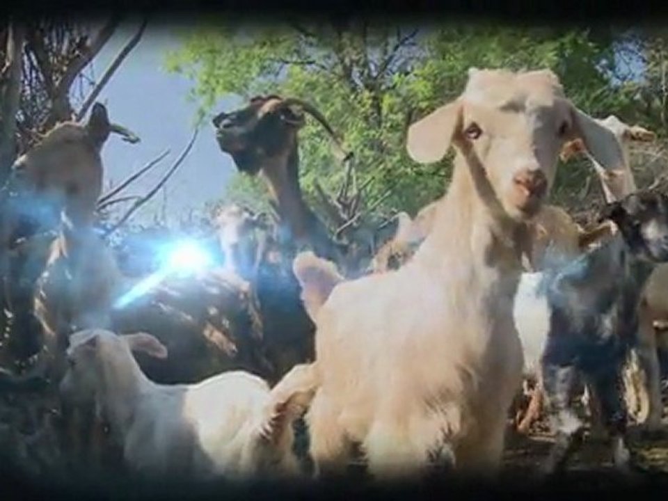 EGEDE BAHAR-2-TANITIM
