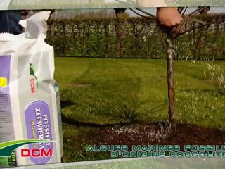 Récoltez vos propres vitamines. - DCM