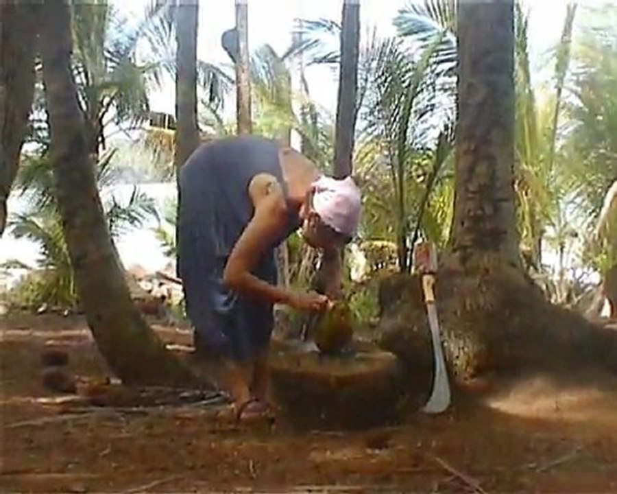 Iles du Salut et Marais de Kaw