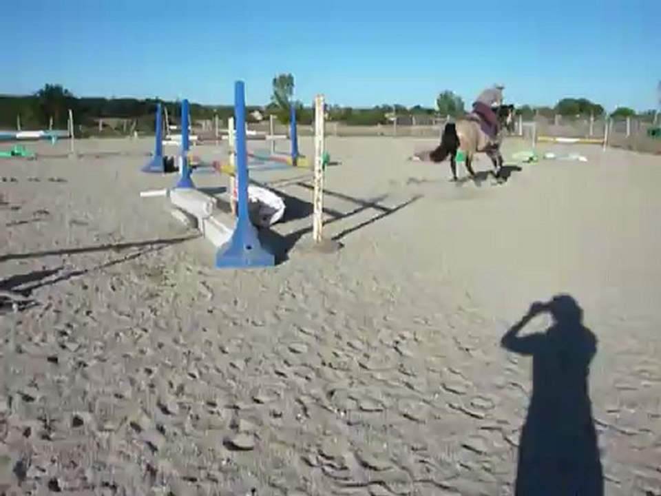 3ans pfs super caractere origines top 146ferre pour ponam ou cycle elevage