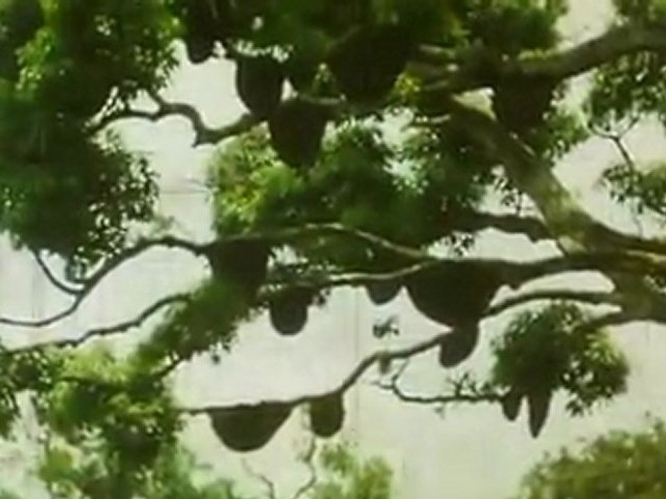 Othaina ne erukka (CHILAMBU)