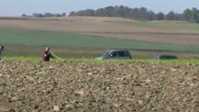 Sammer-Greta-Belgiersieger-2011-Fährte