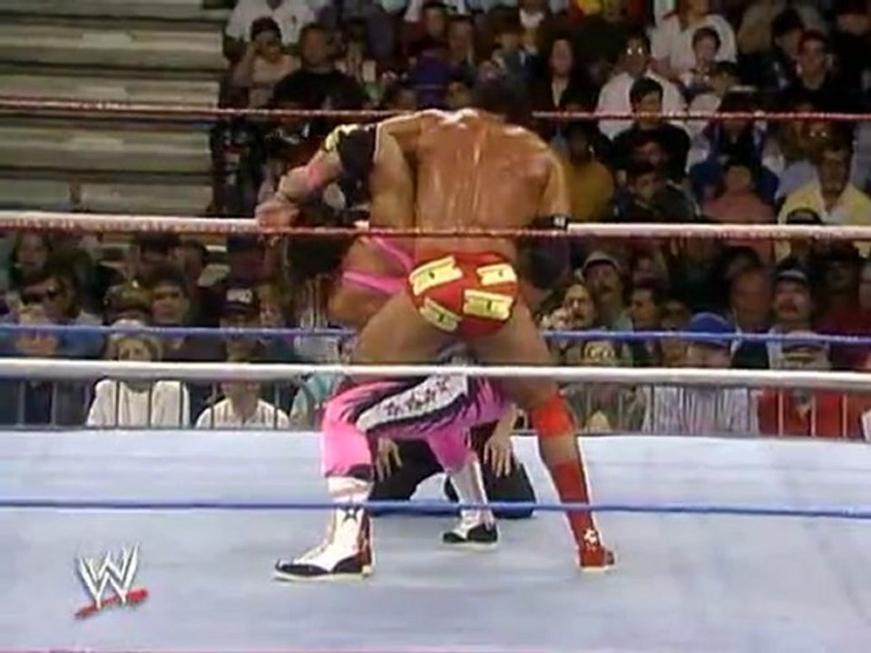 013. Razor Ramon vs. Bret Hart (Royal Rumble 1993 WWF Championship)