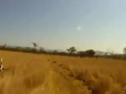 Antelope tackles cyclist in South Africa