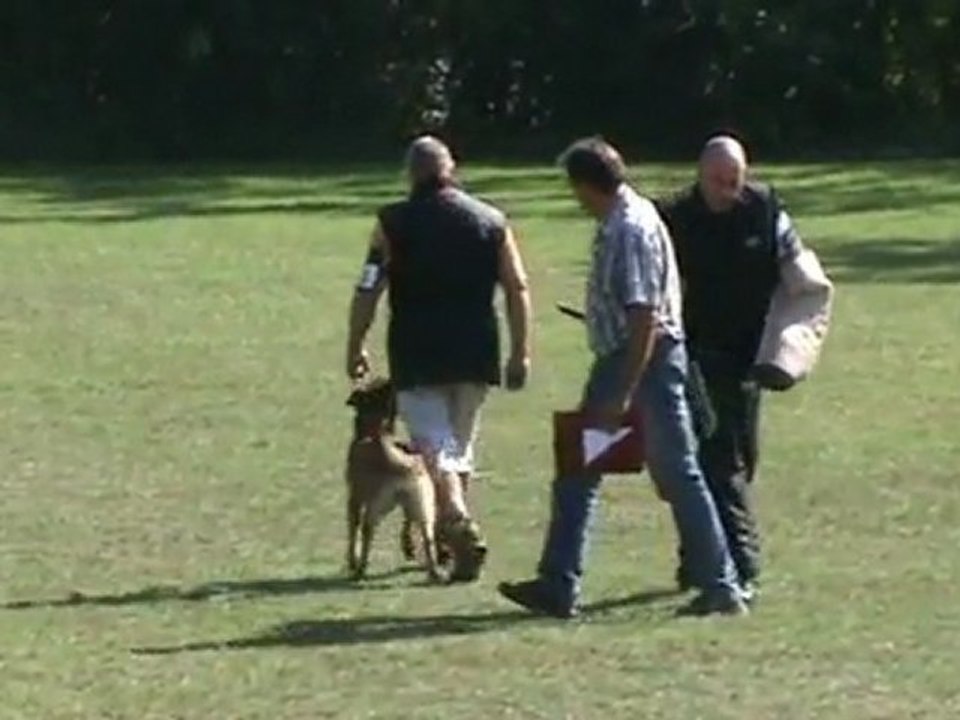 Sammer-Greta-Belgiersieger-2011-Schutz