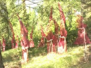 L'Art et l'arbre - La Vie de Chalet Episode 35 Saison 1 Série 2