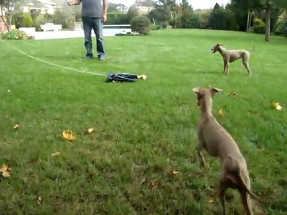 PVL ou coursing artisanal