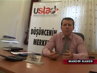 arap baharı mardin haber