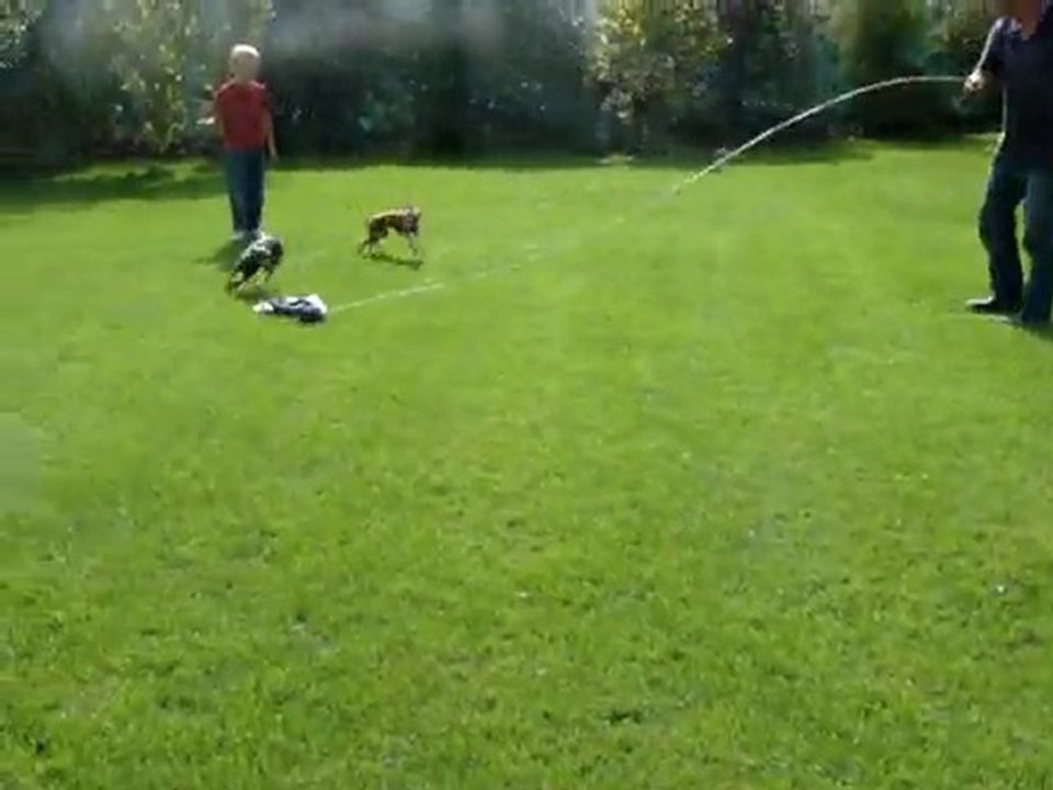 entrainement à courir 001