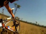 Crazy jumping antelope hits cyclist in South Africa