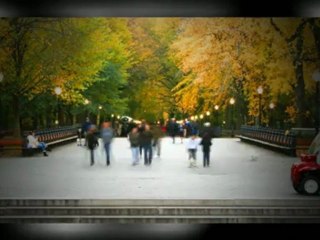 Backlinks Explained: Boost Your Website Traffic & SEO 🚀