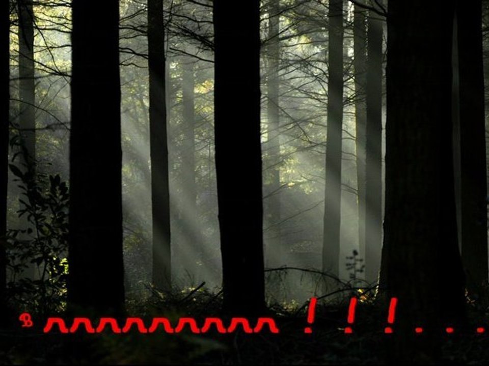 Le petit Chaperon rouge (Charles Perrault)