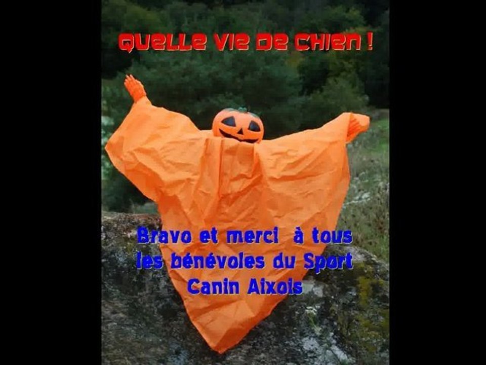 Championnat de France de Campagne 2011