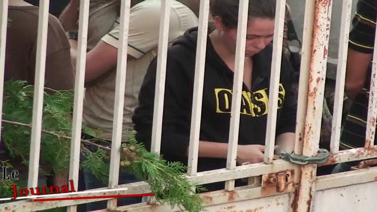 Toulouse : 2 squats expulsés, 7 arrestations et 1 comparution immédiate