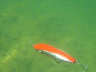 Essai Nage leurre 'Homemade' JEAN MI