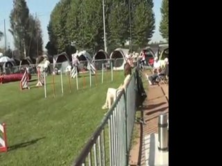 Orchies - 02 Octobre 2011 (Dragon).wmv.AVI