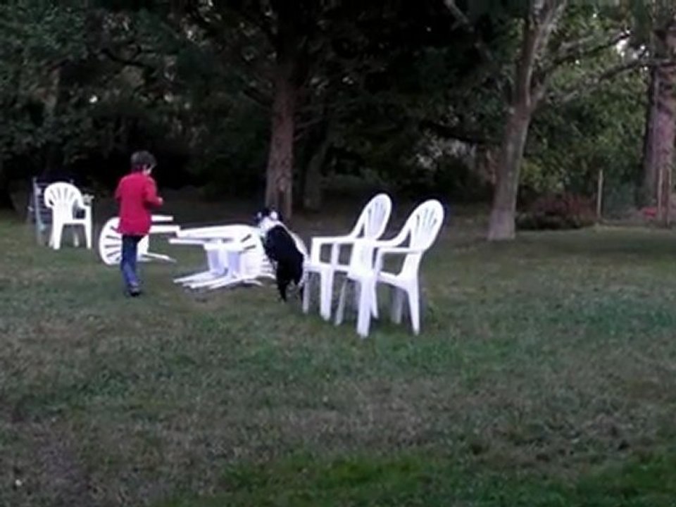 Gael et Fun - entrainement Agility