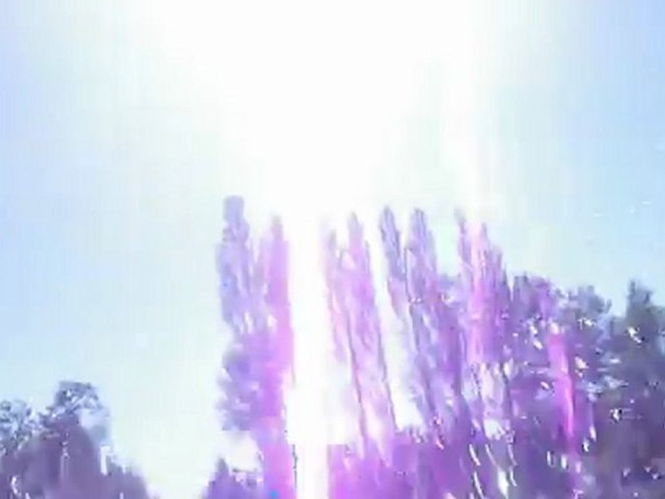 Black bass vidéo peche