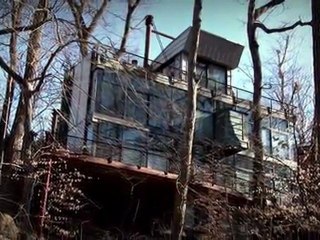 DC Modern Home, inspired work by Travis Price FAIA