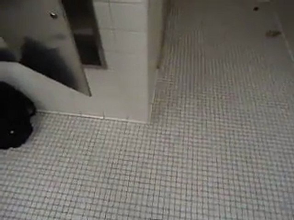 MOV01035