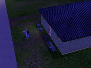 Les sims 3 Accès VIP