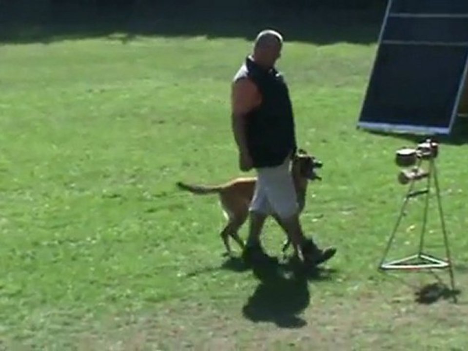 Sammer-Greta-Belgiersieger-2011-UO