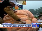 Presentaron la calabaza más grande del mundo en California; pesó 170 libras - NTN24.com