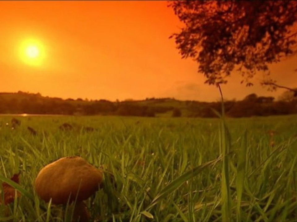 Vivaldi ♪ Les 4 Saisons Seasons ☼ Automne Autumn ▪J.Fischer